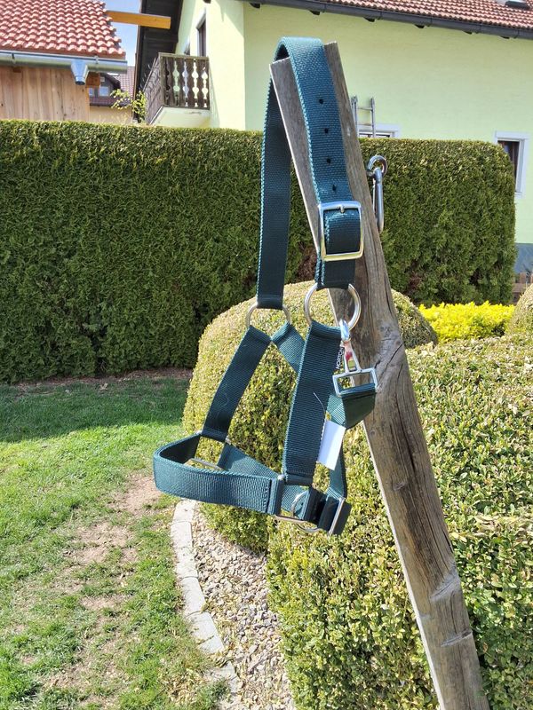 XF Kaltblut Halfter extra stark grün