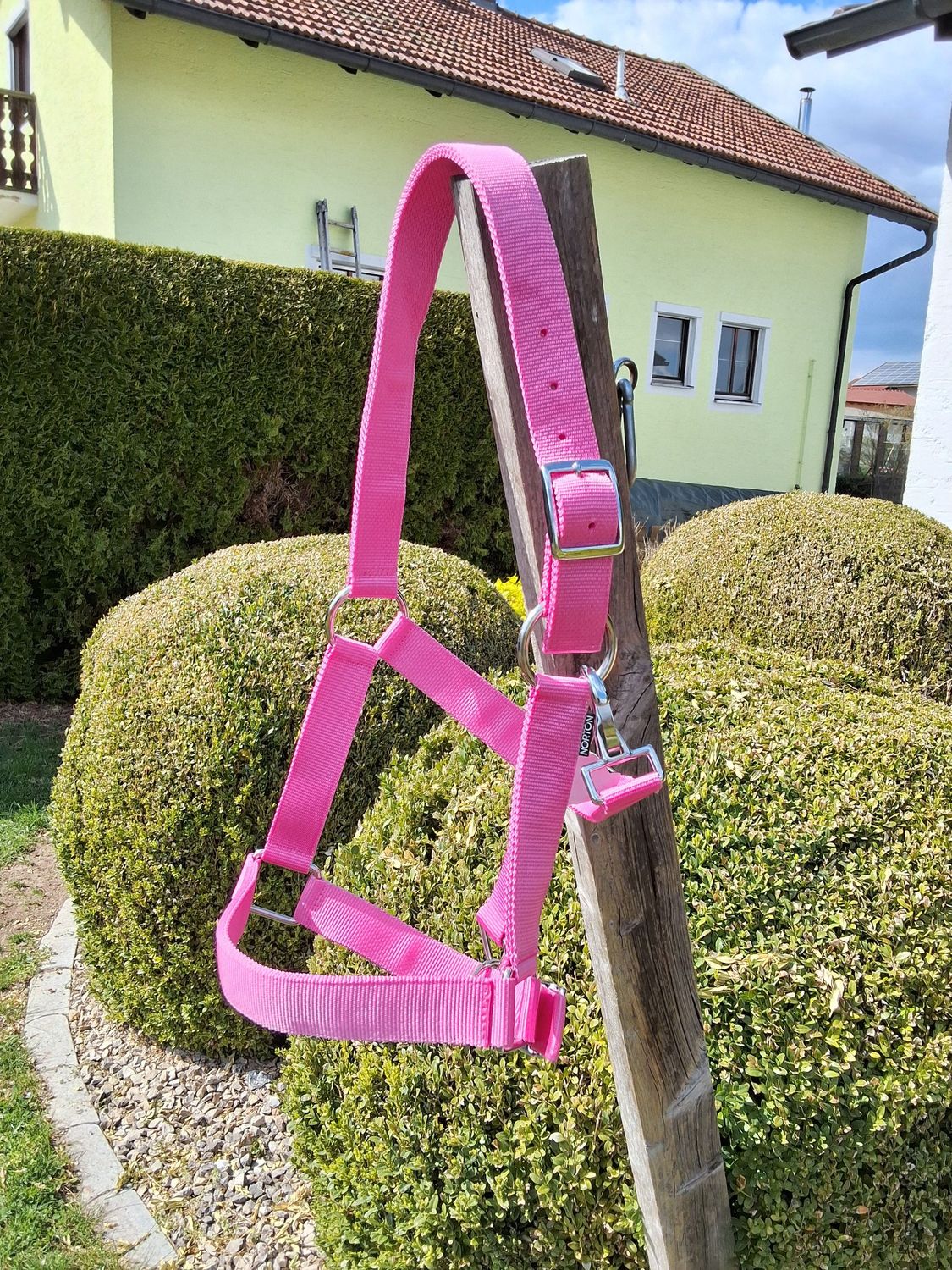 XF Kaltblut Halfter extra stark pink