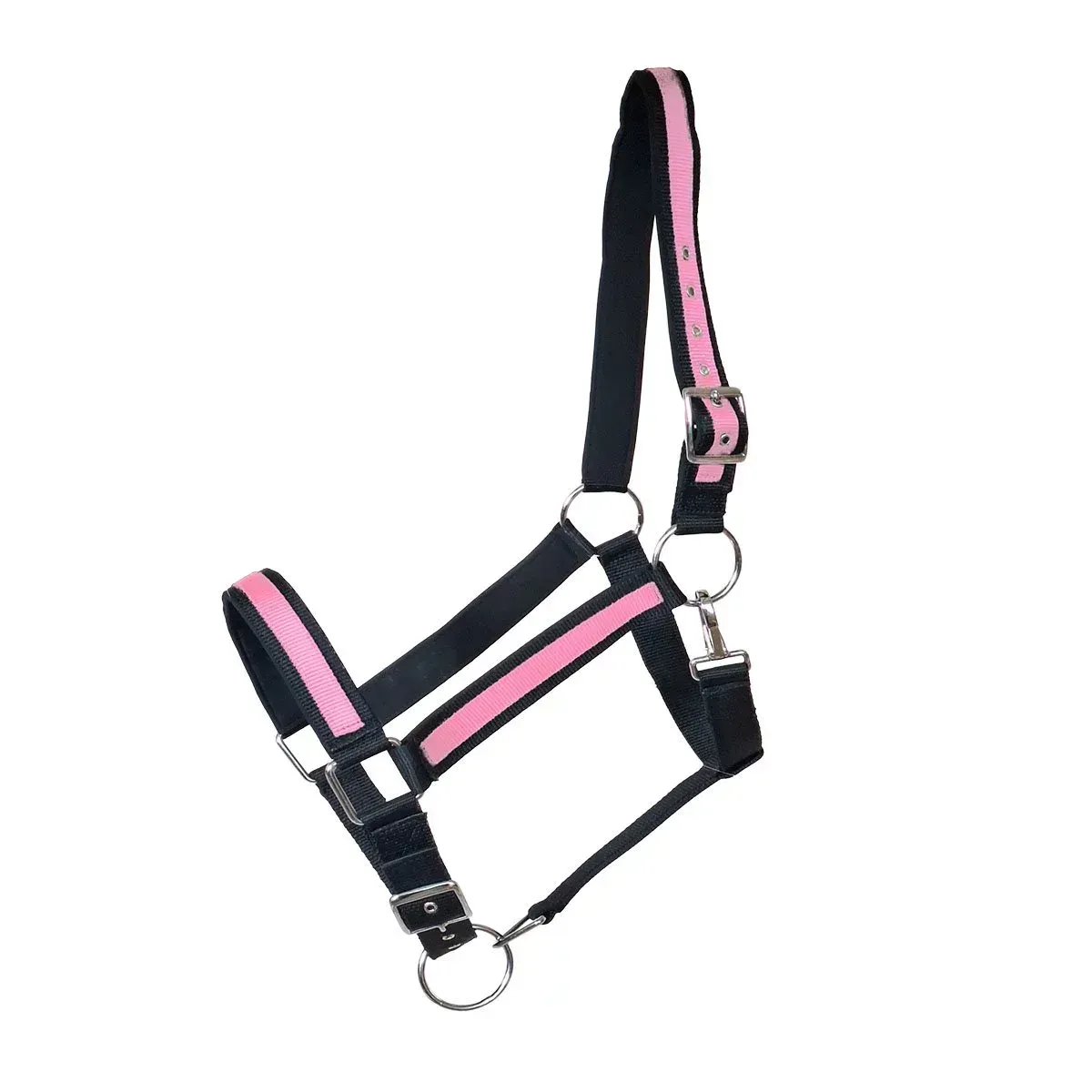 Kaltbluthalfter Big Boy XXXL schwarz-pink Kaltbluthalfter Big Boy XXXL schwarz-pink