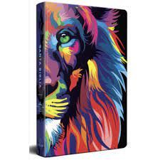 Santa Biblia Carpeta de colores de Leon