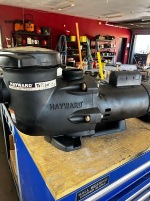 Hayward Ecostar/Tristar 230V 2HP 56Y(Reconditioned)