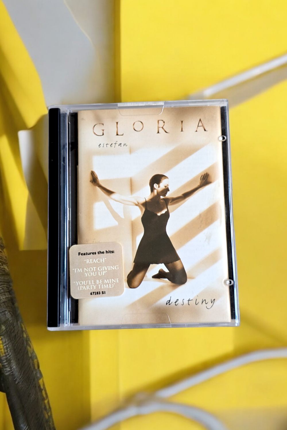 Gloria Estefan - Destiny