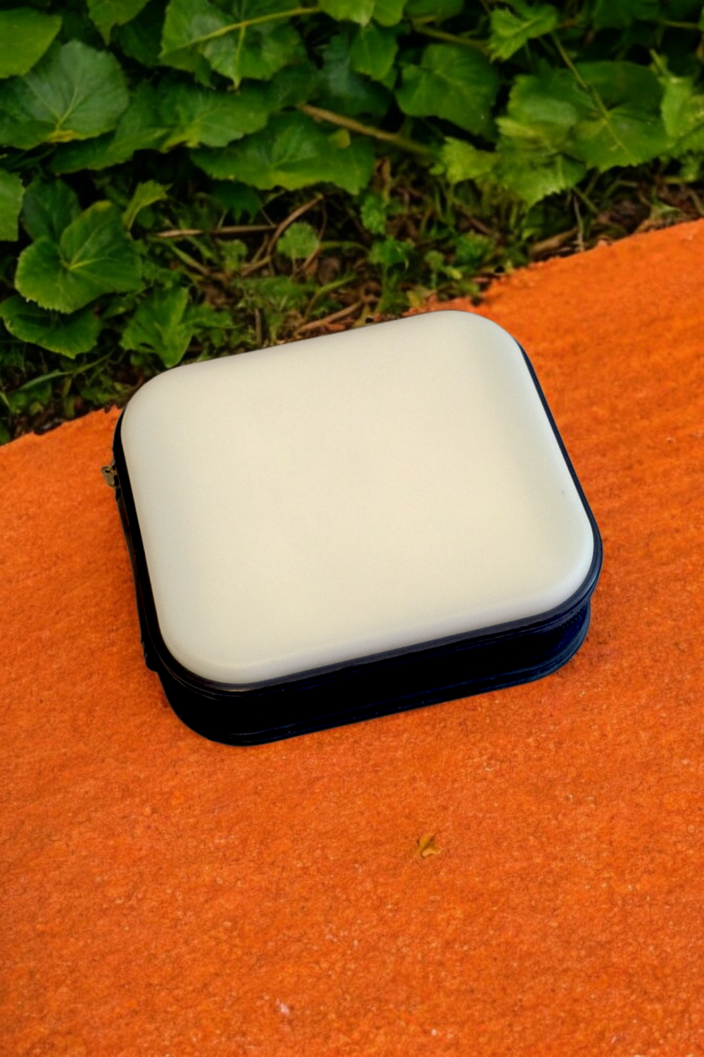 Black &amp; White 6-Disc Compact Carrier