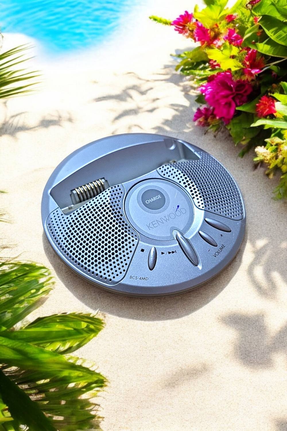 Kenwood Speaker Dock