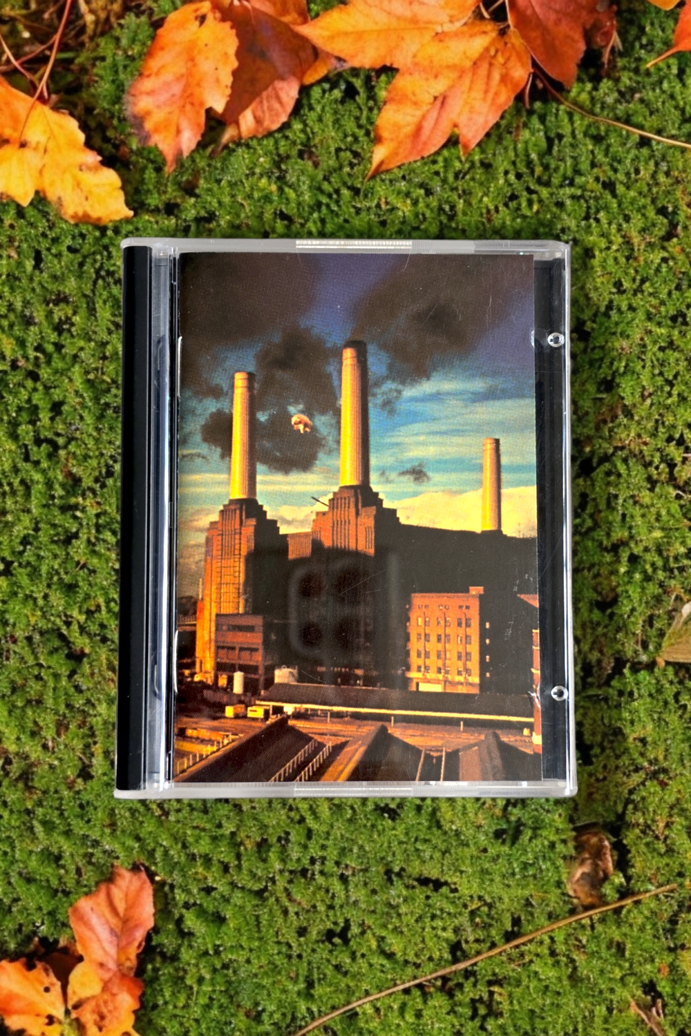 Pink Floyd - Animals