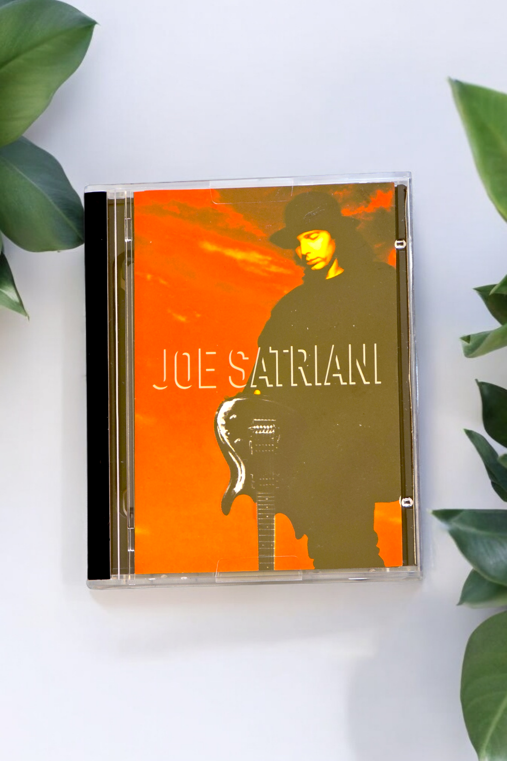 Joe Satrini MD