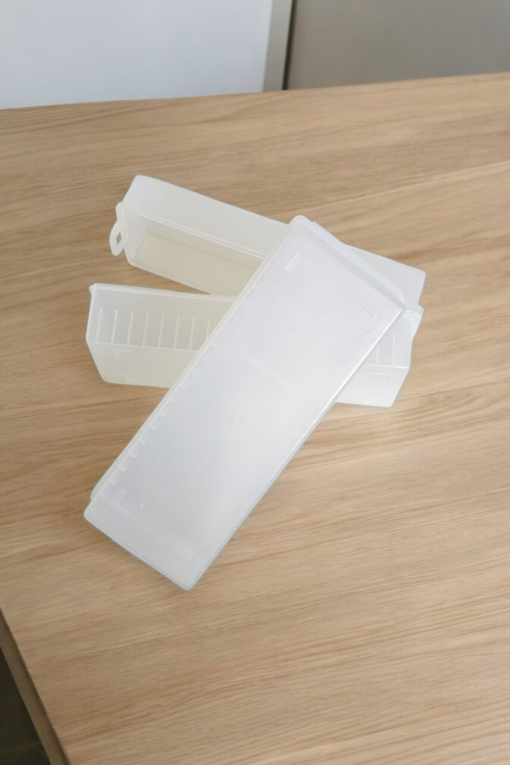 Japanese Opague Hard Plastic Disc Storage Case