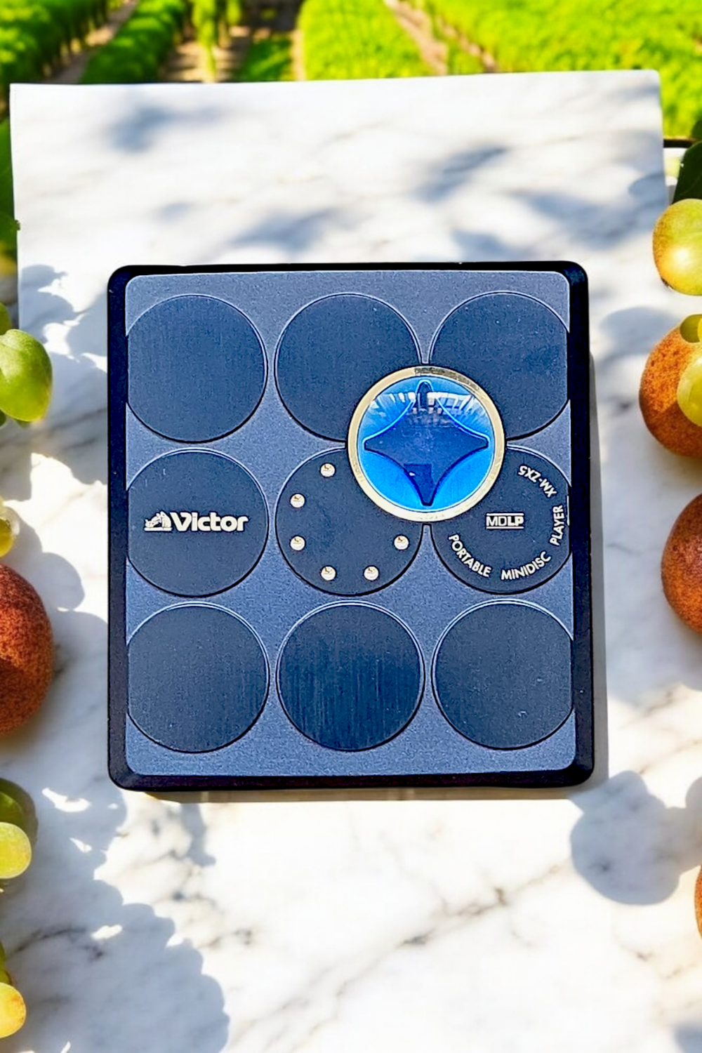 Victor XM-ZX5