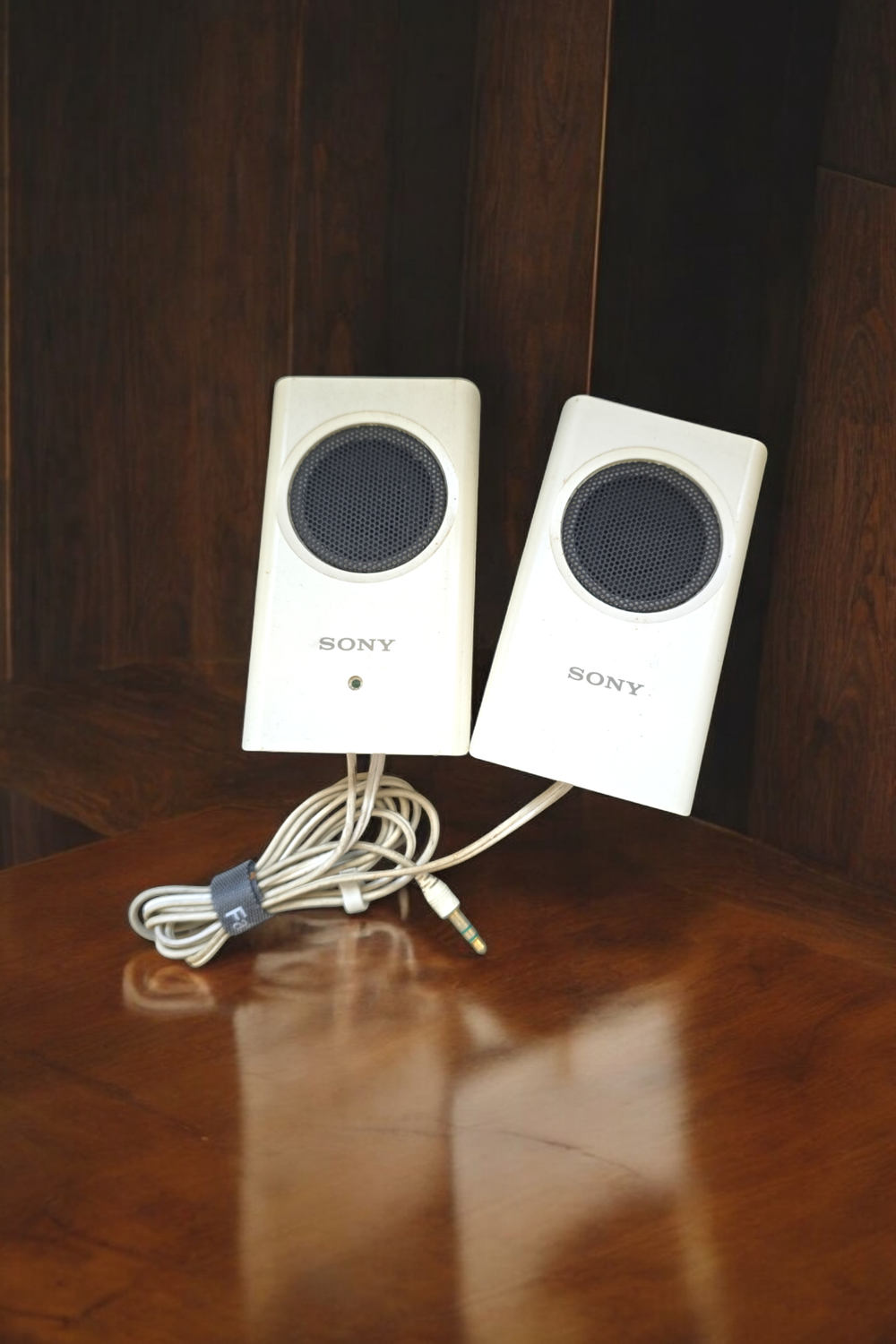 Pair of Sony Battery-Powered Speakers
