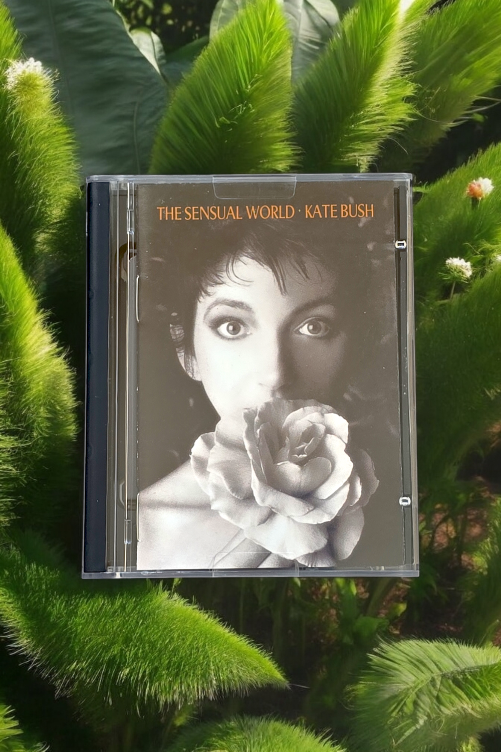 Kate Bush - The sensual World