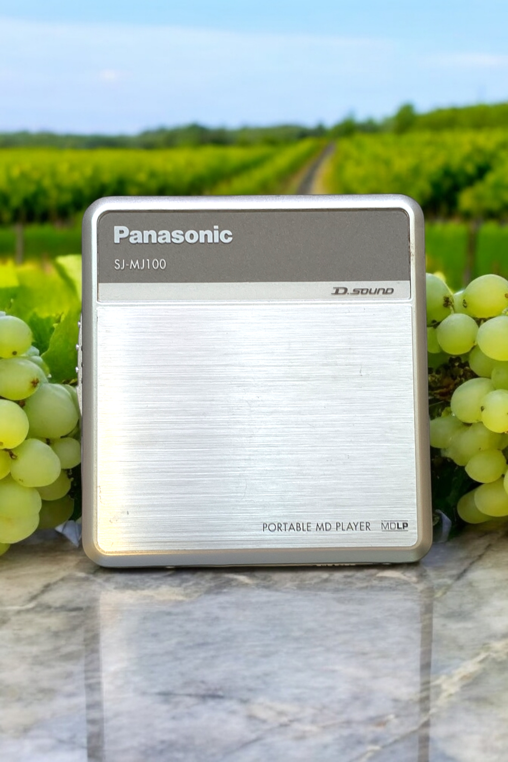 Panasonic SJ-MJ100