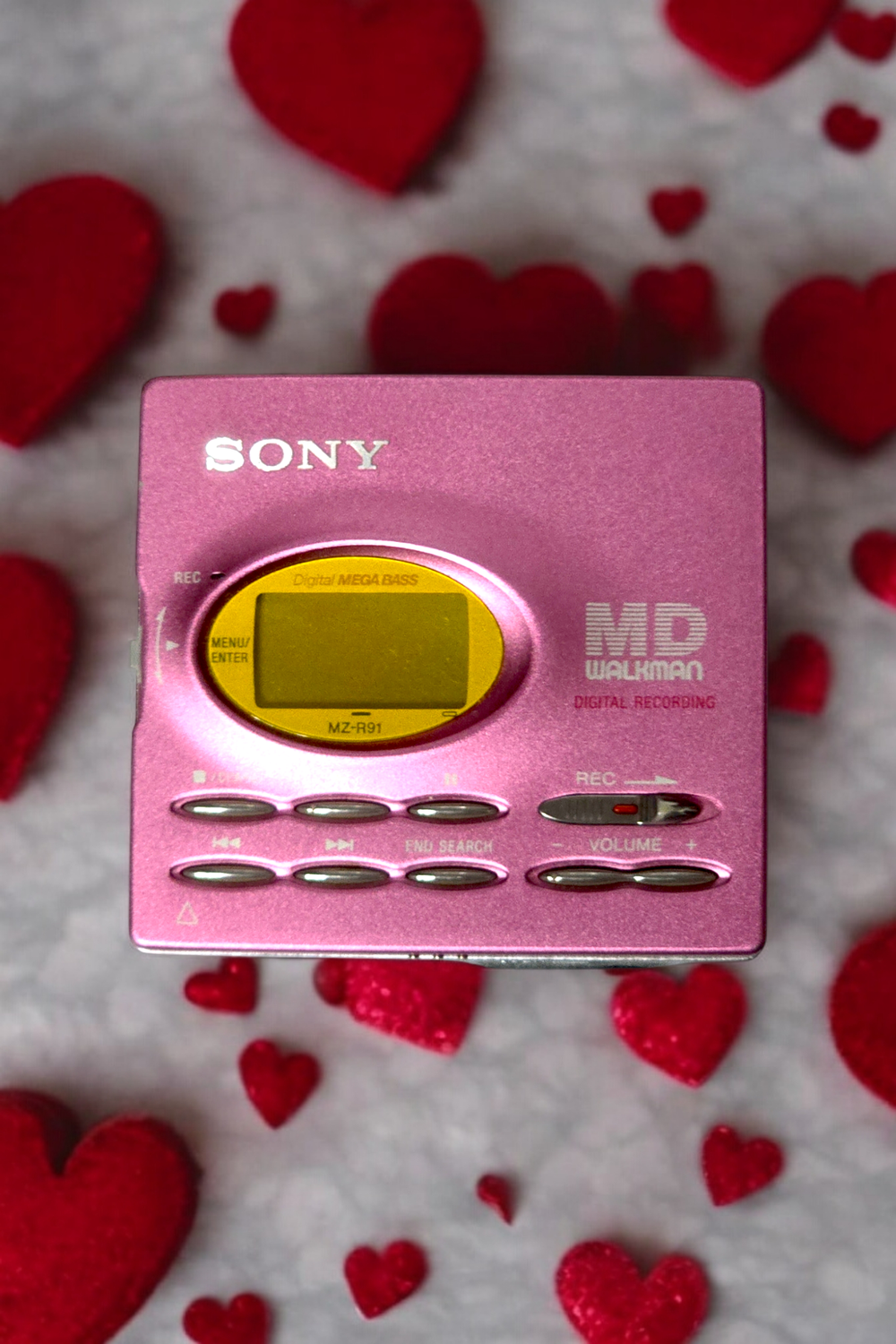 Sony MZ-R91