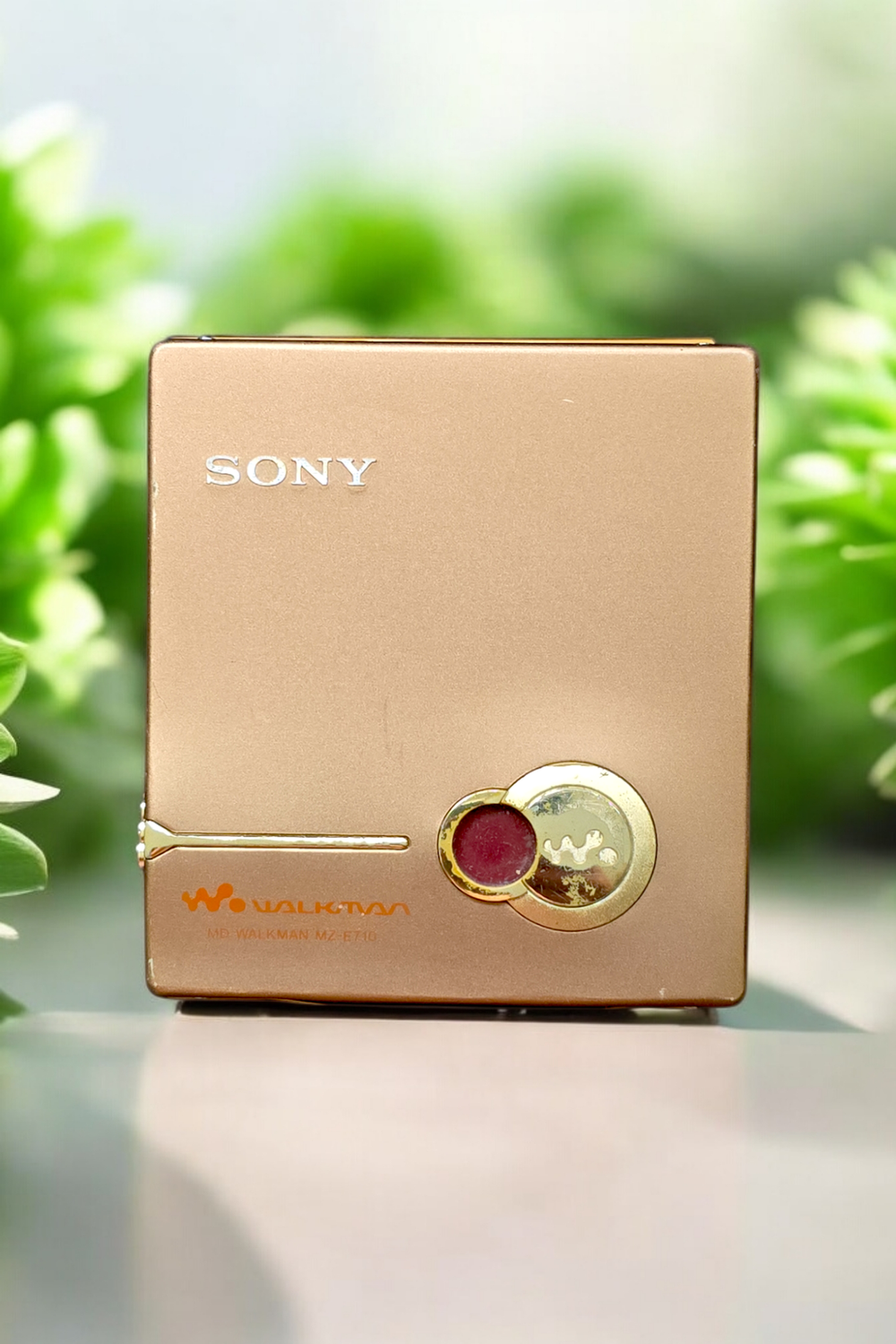 Sony MZ-E710