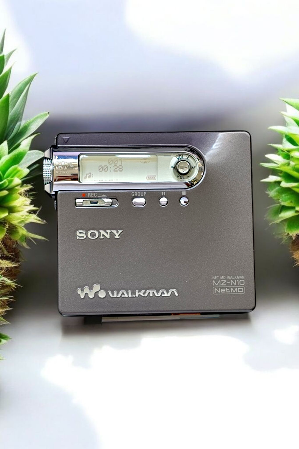 Sony MZ-N10