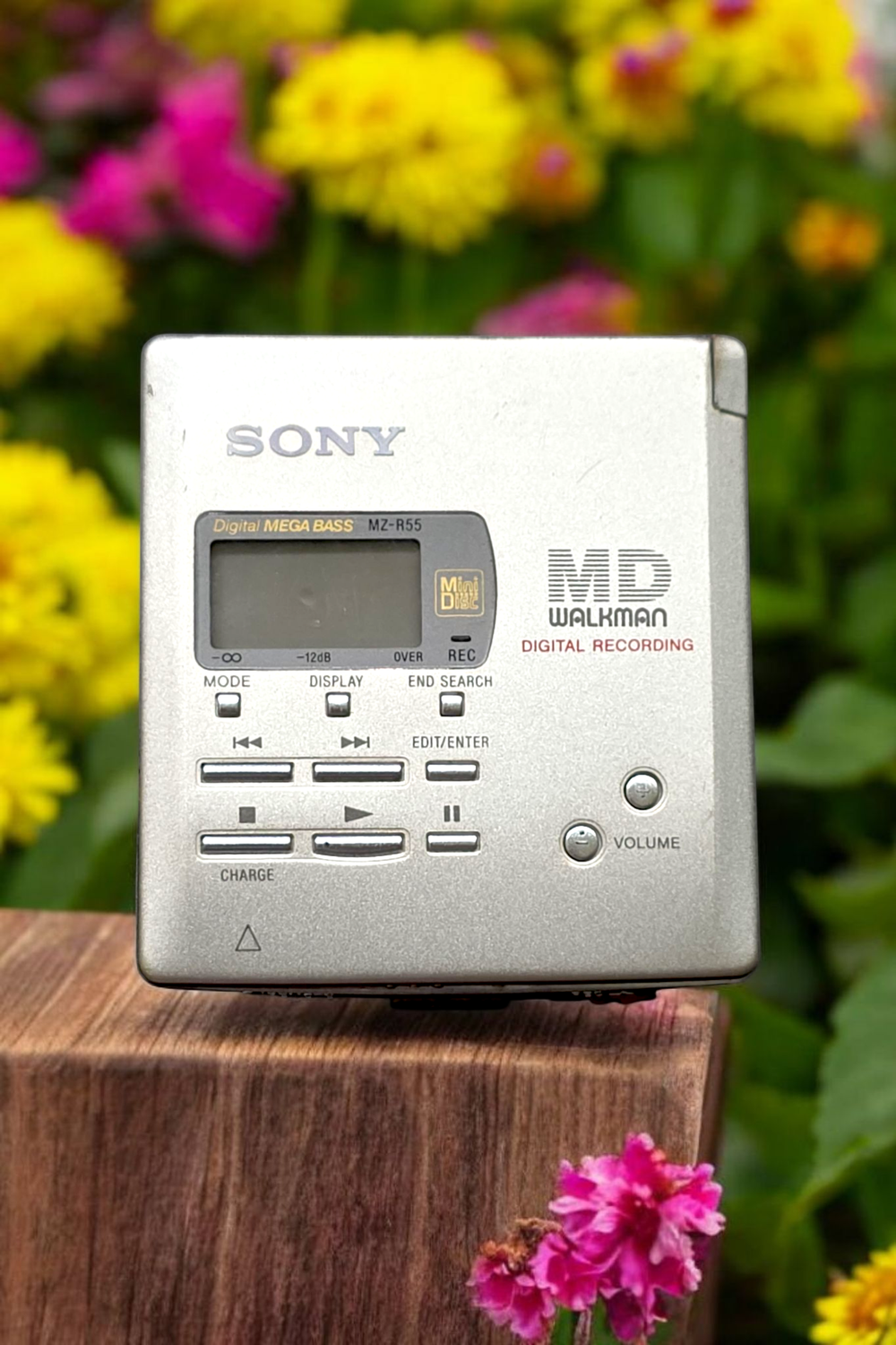 Sony MZ-R55