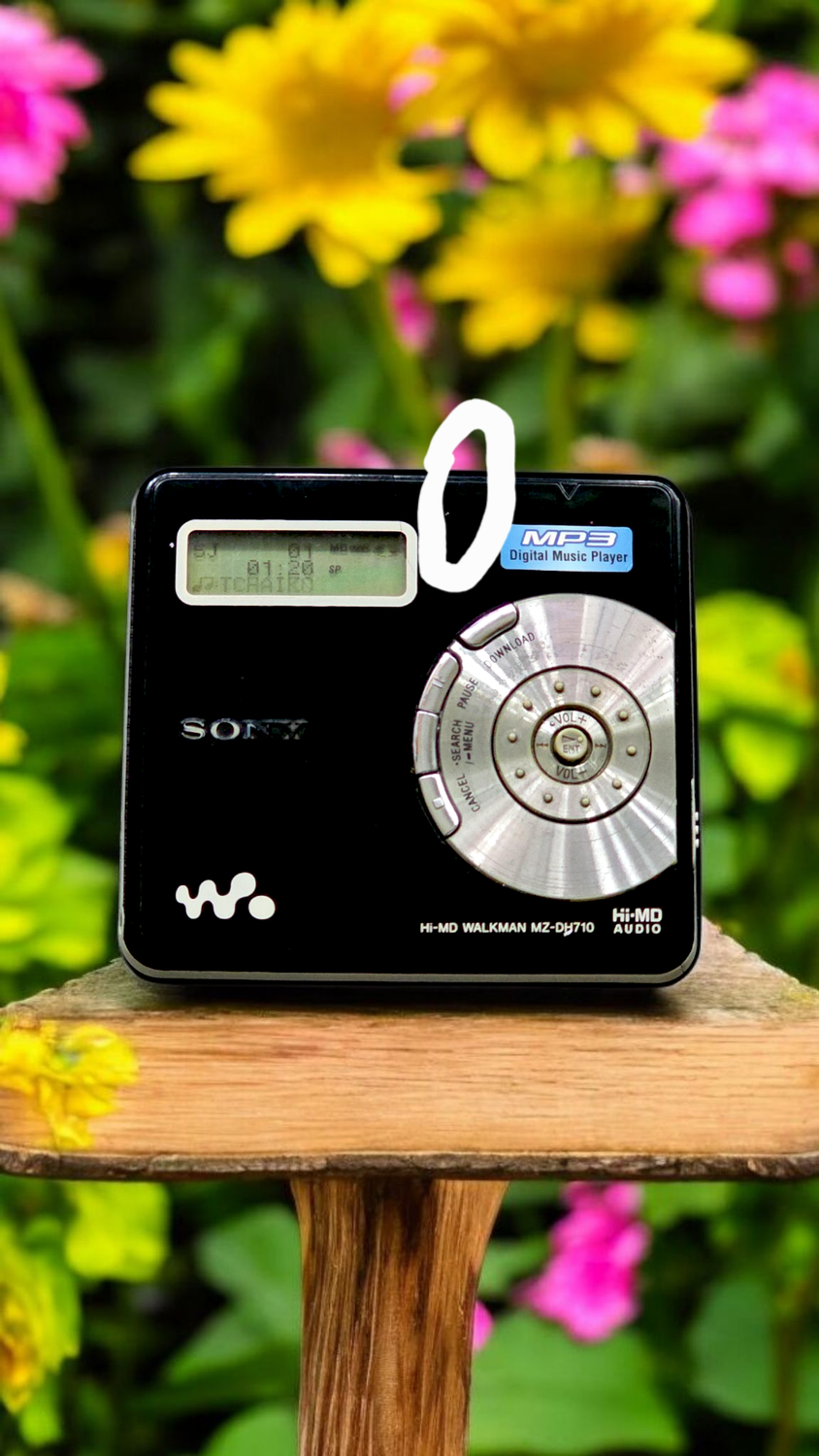 Sony MZ-DH710