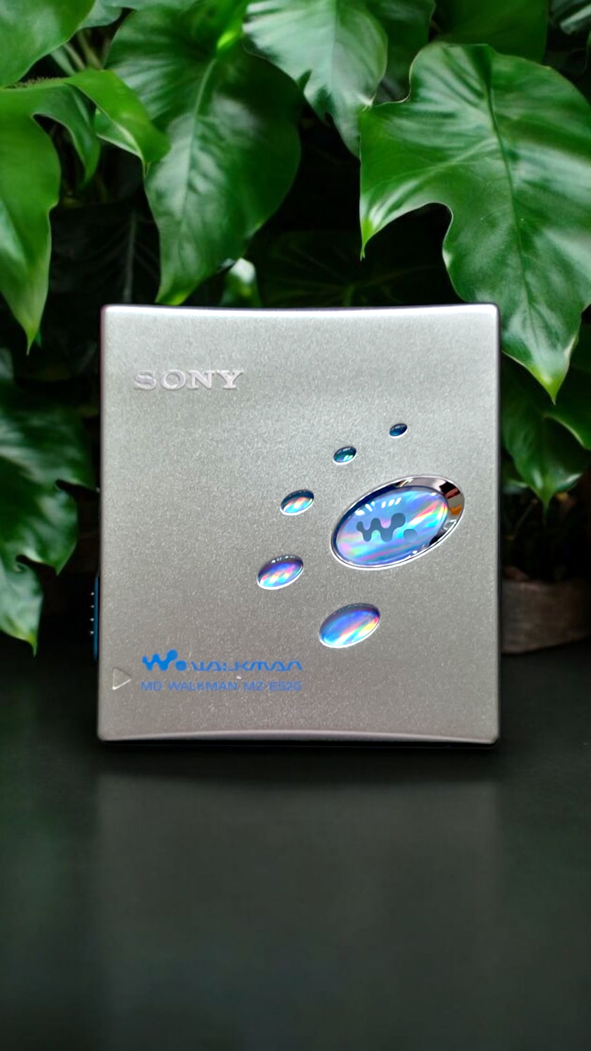 Sony MZ-E520
