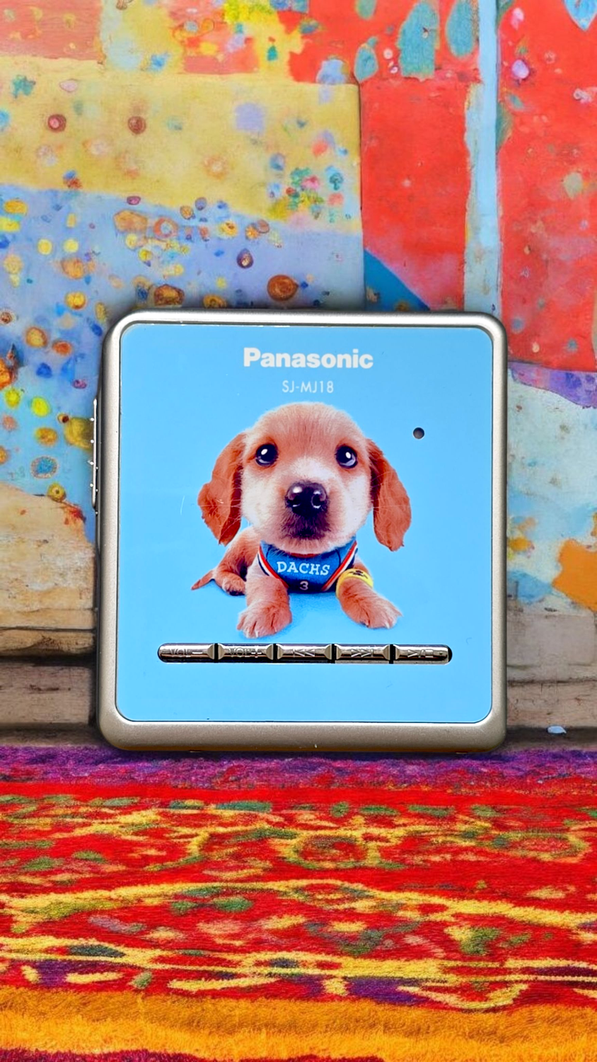 Panasonic SJ-MJ18