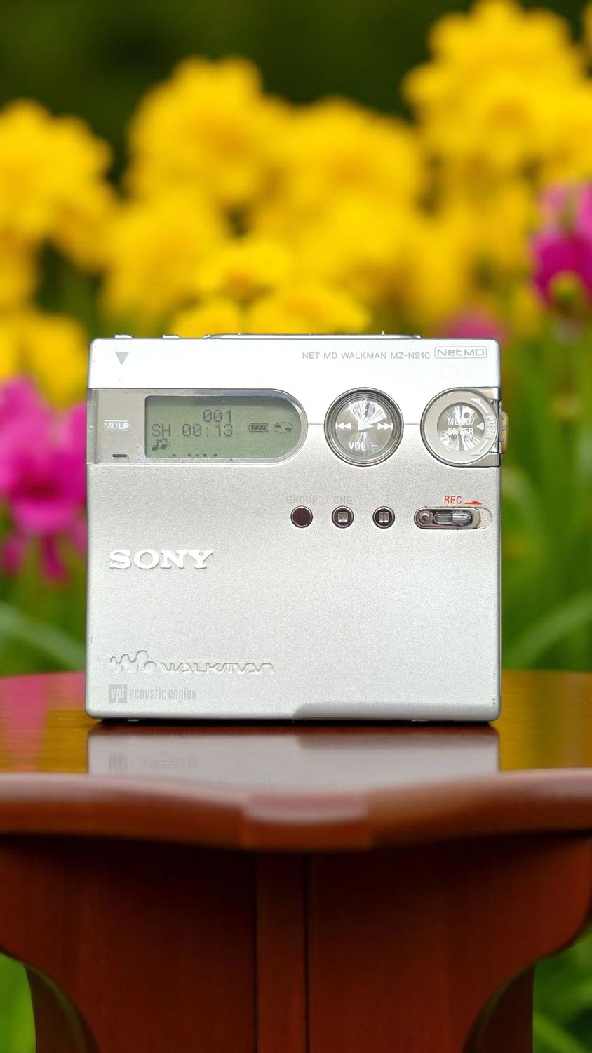 Sony MZ-N910