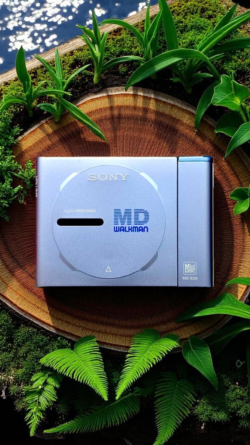 Sony MZ-E25