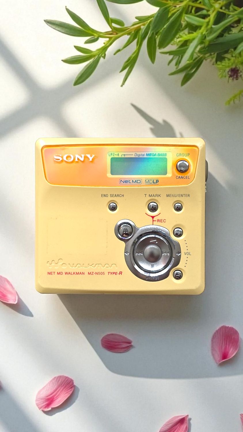 Sony MZ-N505