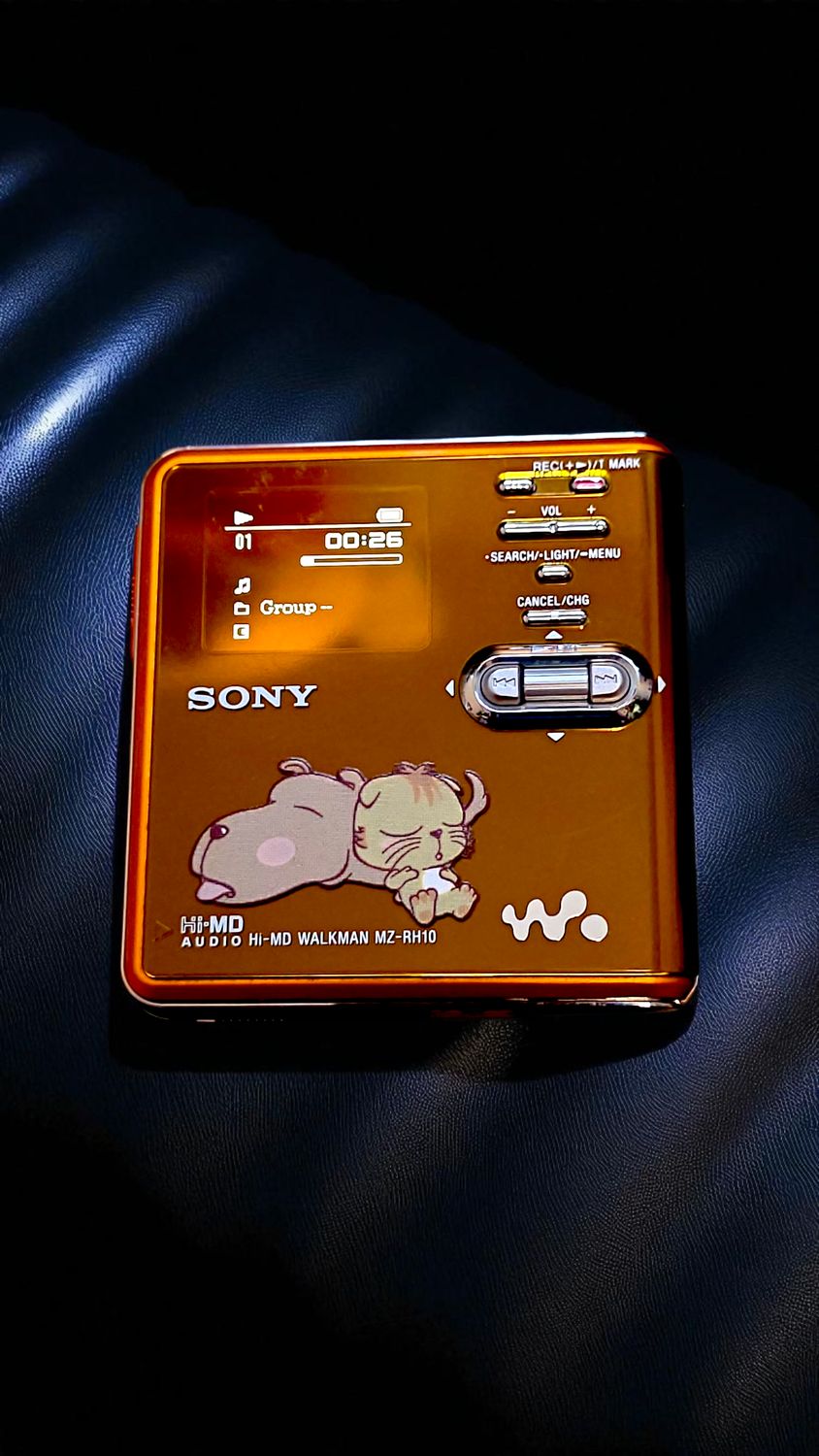 Sony MZ-RH10 with Working Screen