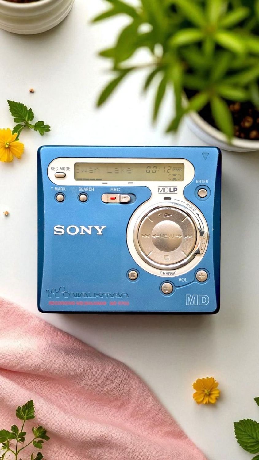 Sony MZ-R700