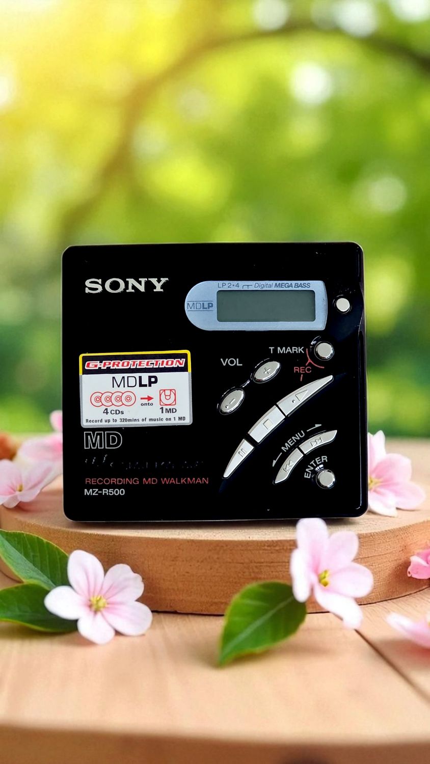 Sony MZ-R500