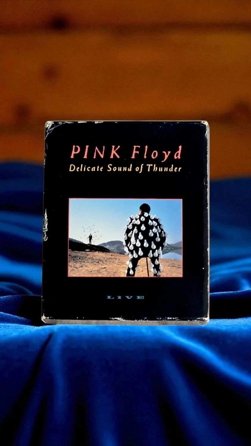 Pink Floyd - Delicate Sound Of Thunder