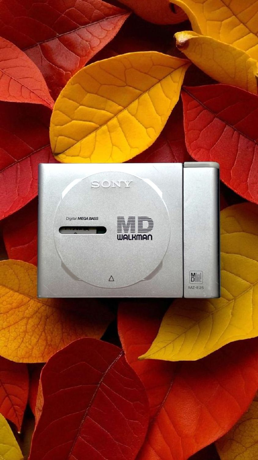Sony MZ-E25