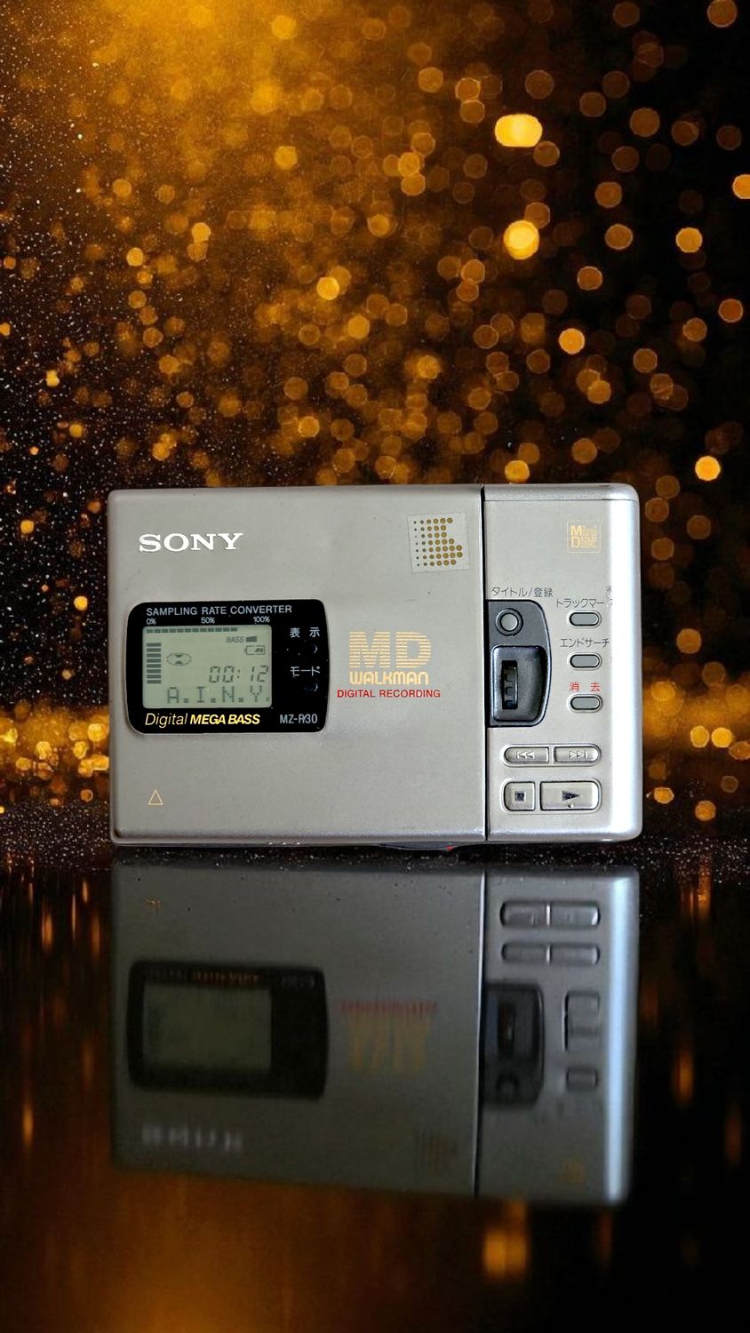 Sony MZ-R30