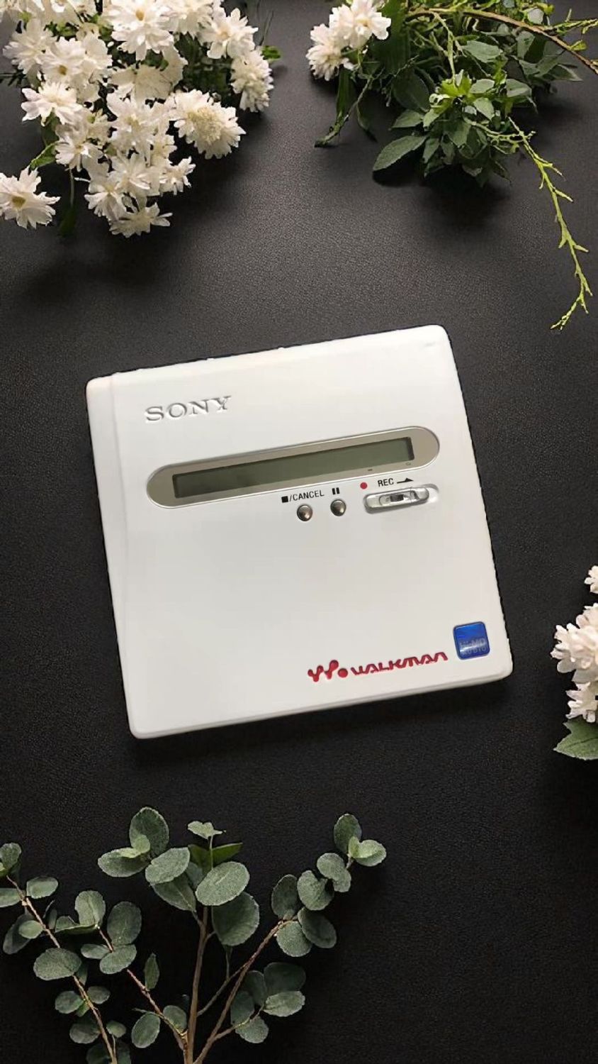 Recoloured Sony Matt White MZ-NH1