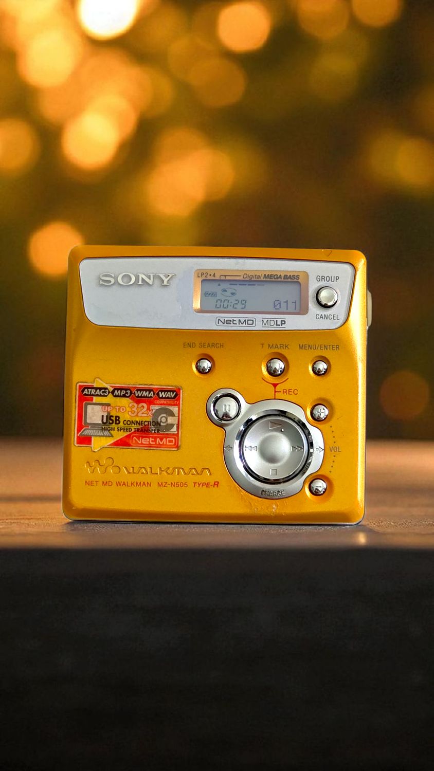 Sony MZ-N505