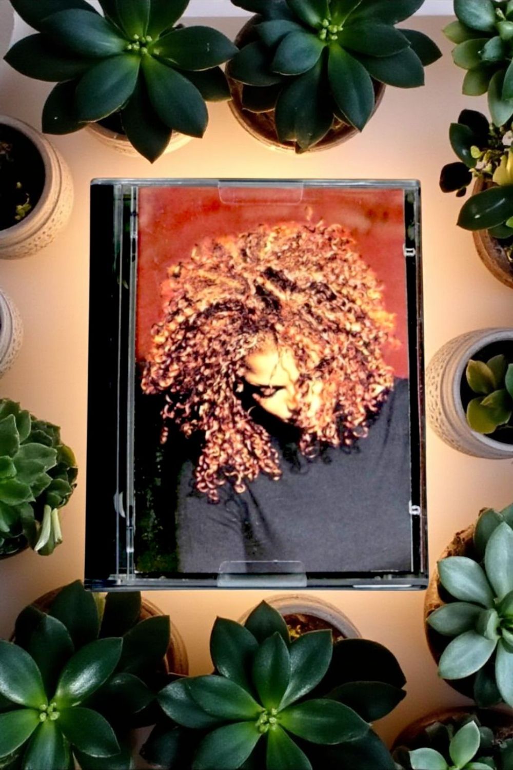 Janet Jackson - The Velvet Rope