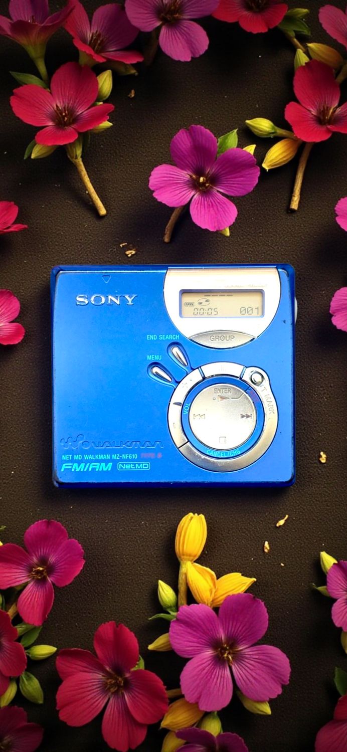 Sony MZ-NF610