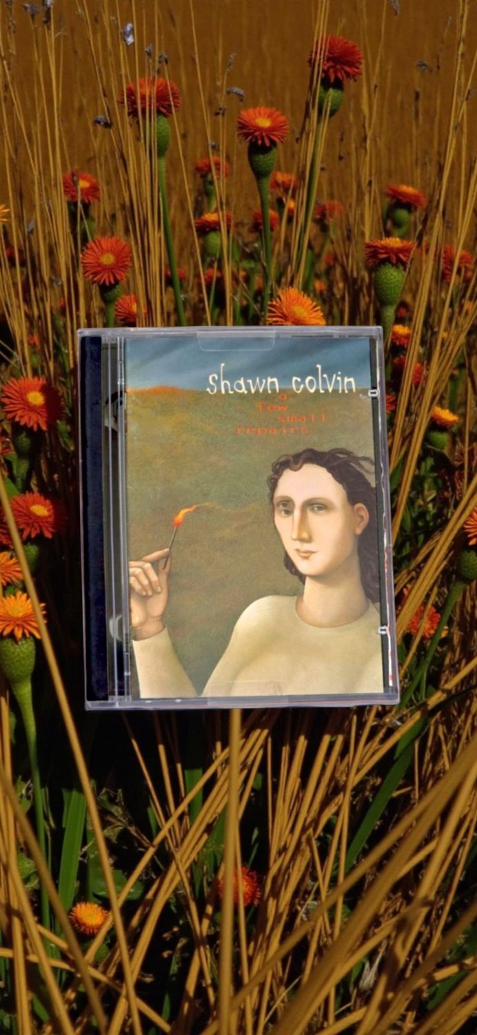 Shawn  Colvin- A Few Small Repairs