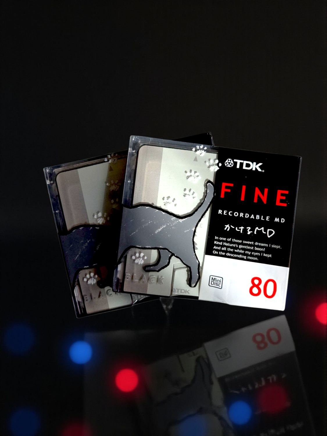 TDK Fine 80 min (set of 2)