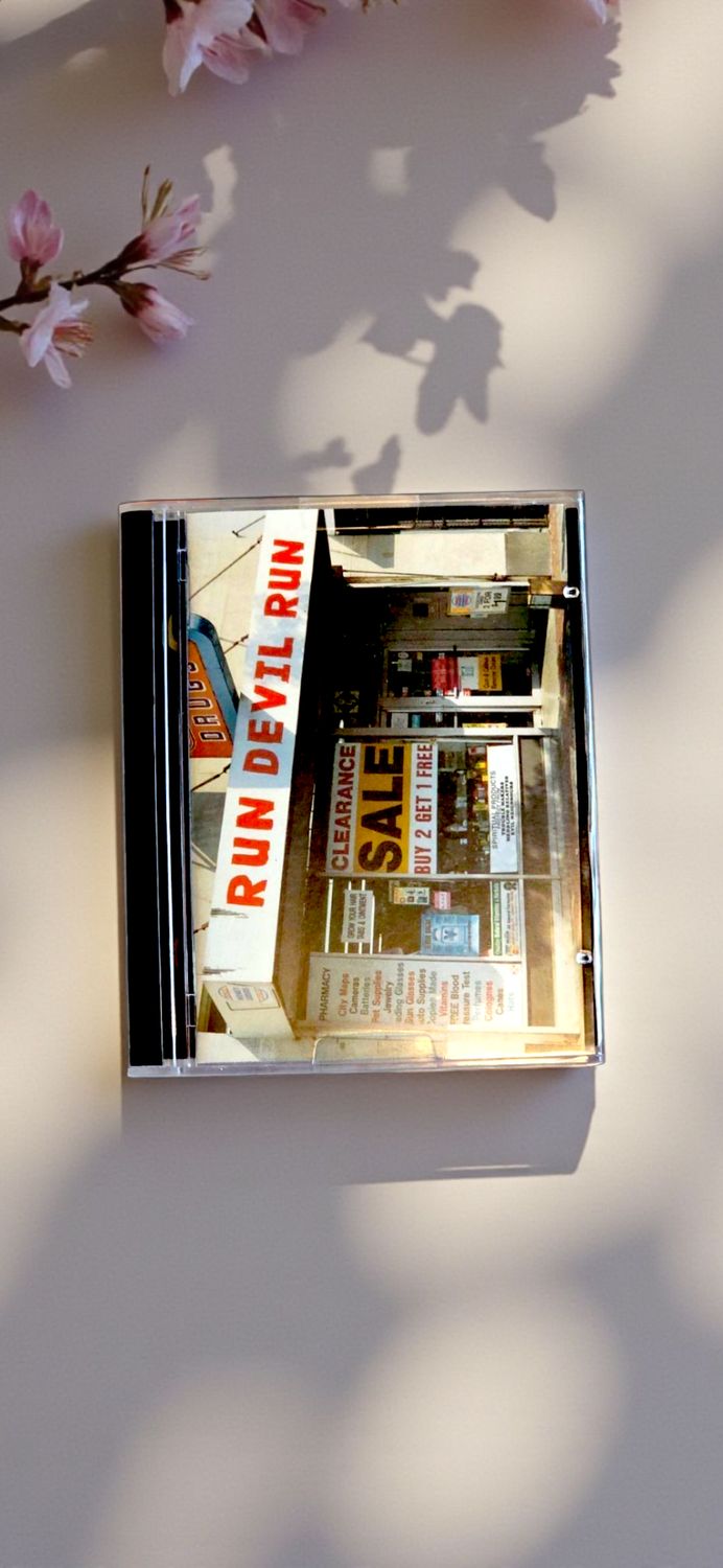 Paul McCartney - Run Devil Run