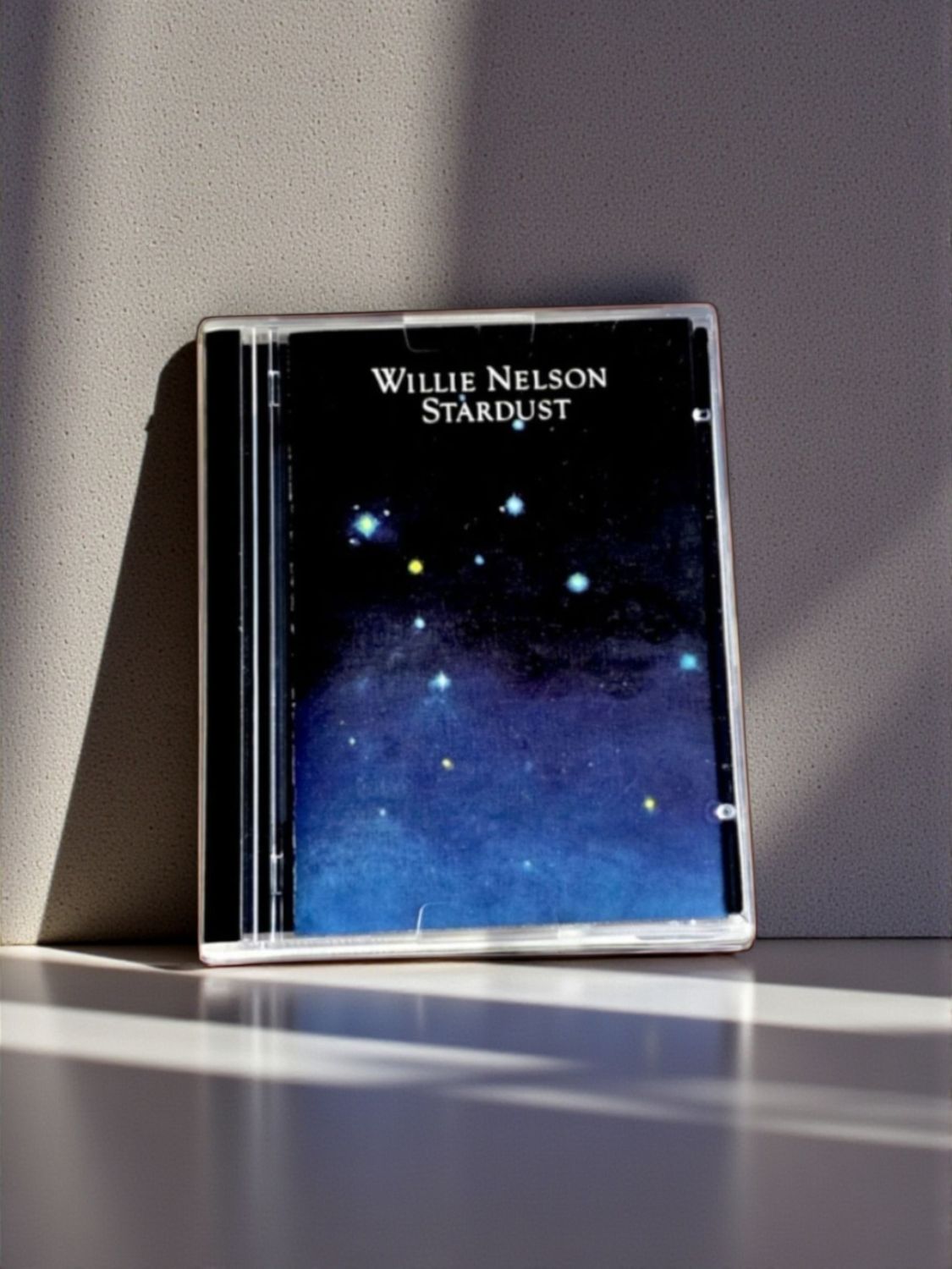 Willie Nelson - Stardust