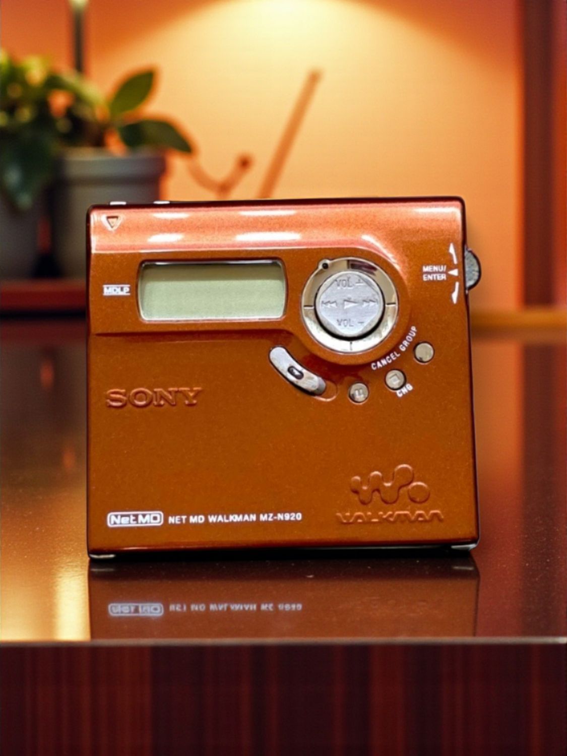 Recoloured Sony Bronze MZ-N920