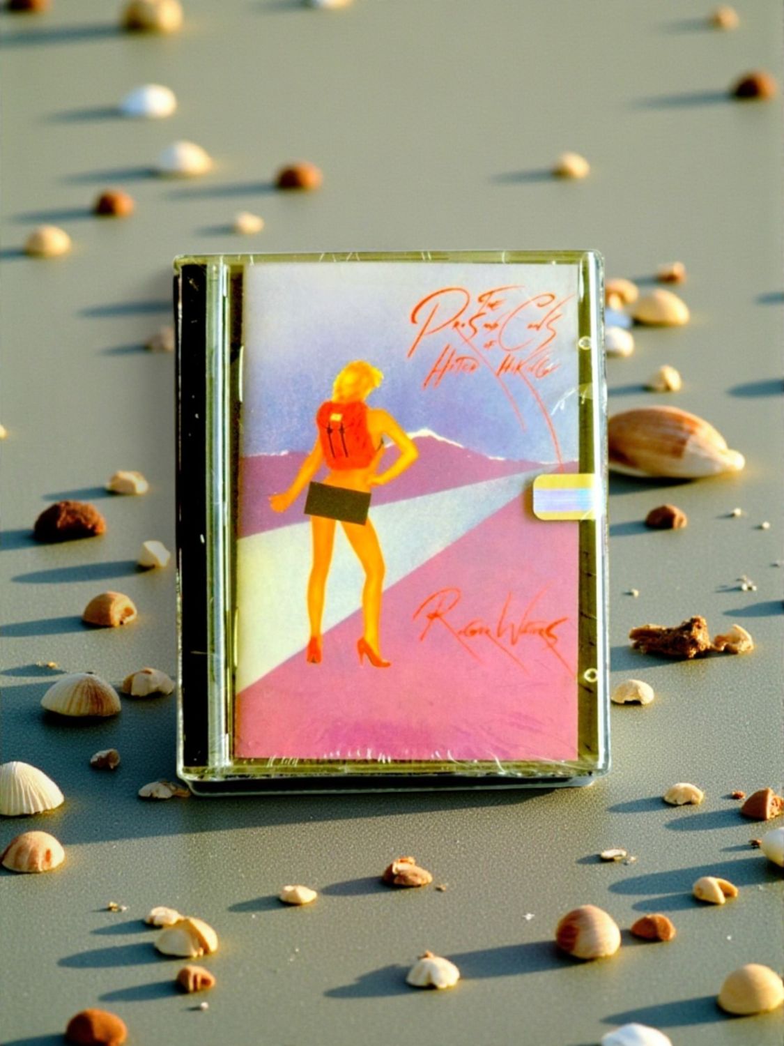 Roger Waters - The Pros and Cons of Hitch Hiking