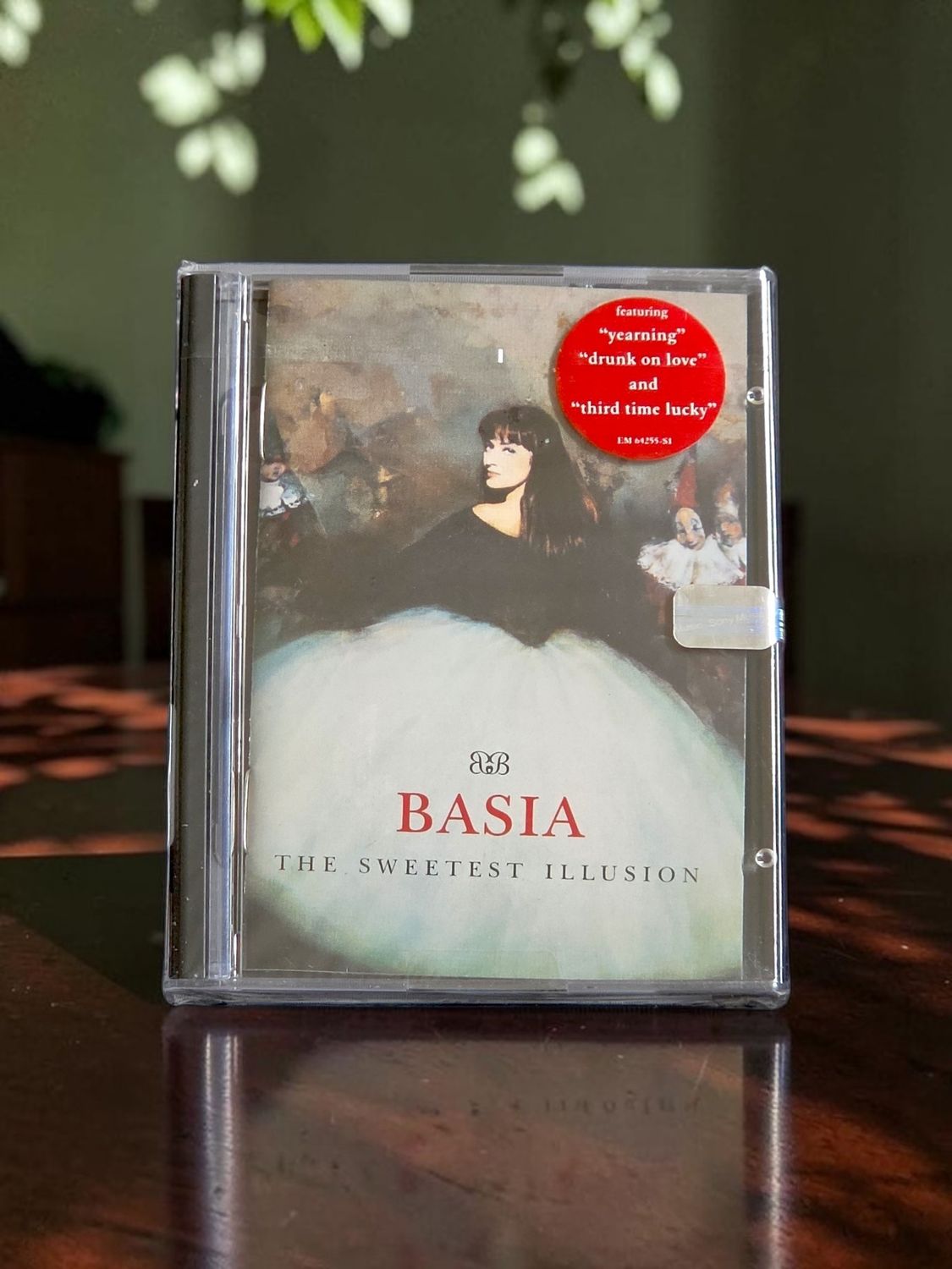 Basia - The Sweetest Illustration