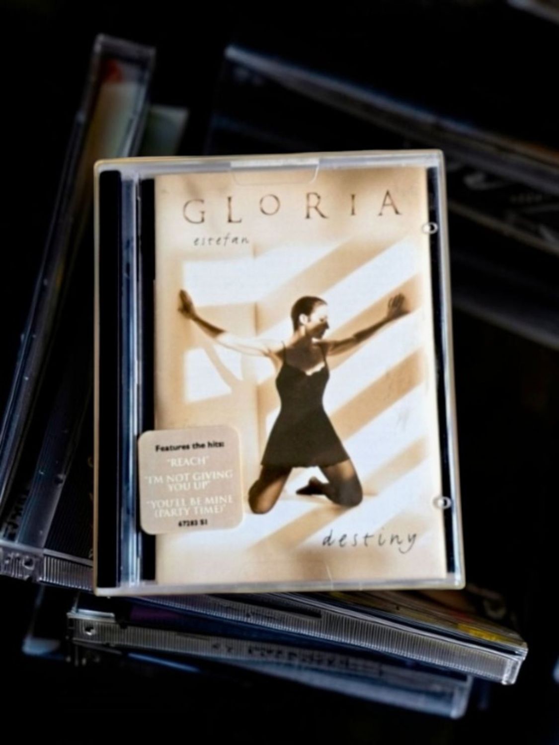 Gloria Estefan - Destiny