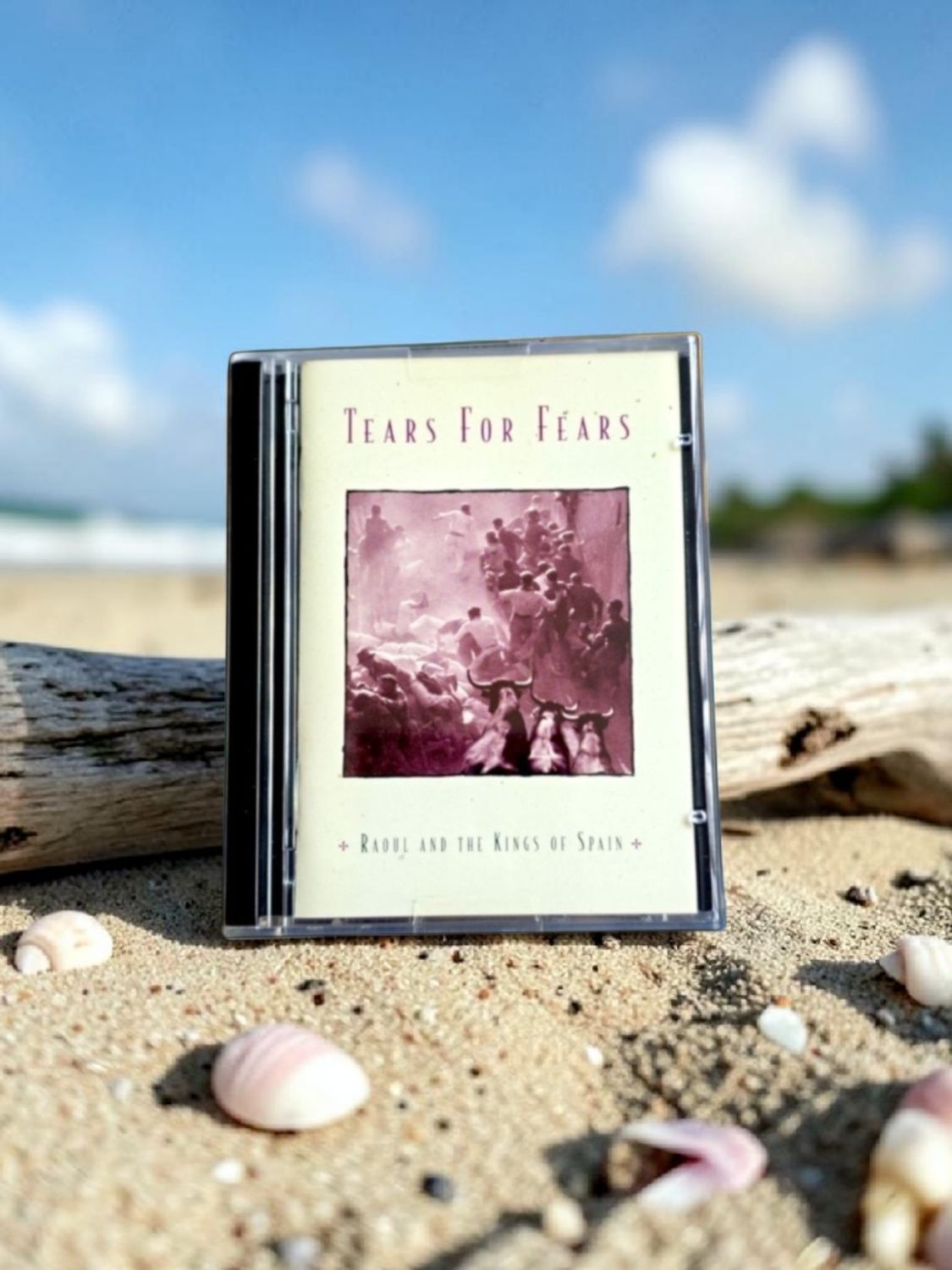 Tears For Fears - Raoul and The Kings of Spain