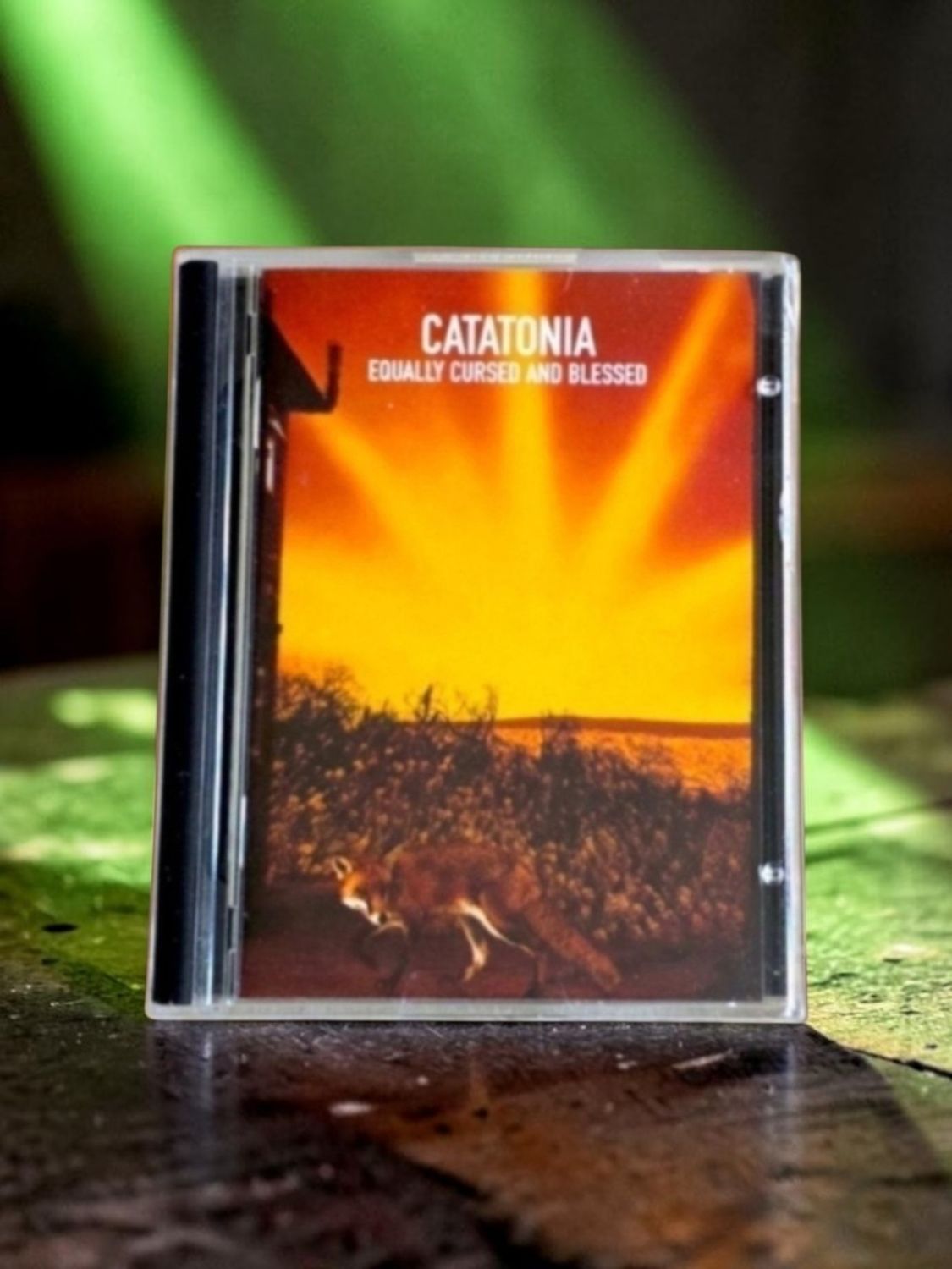 Catatonia - Equally Cursed and Blessed