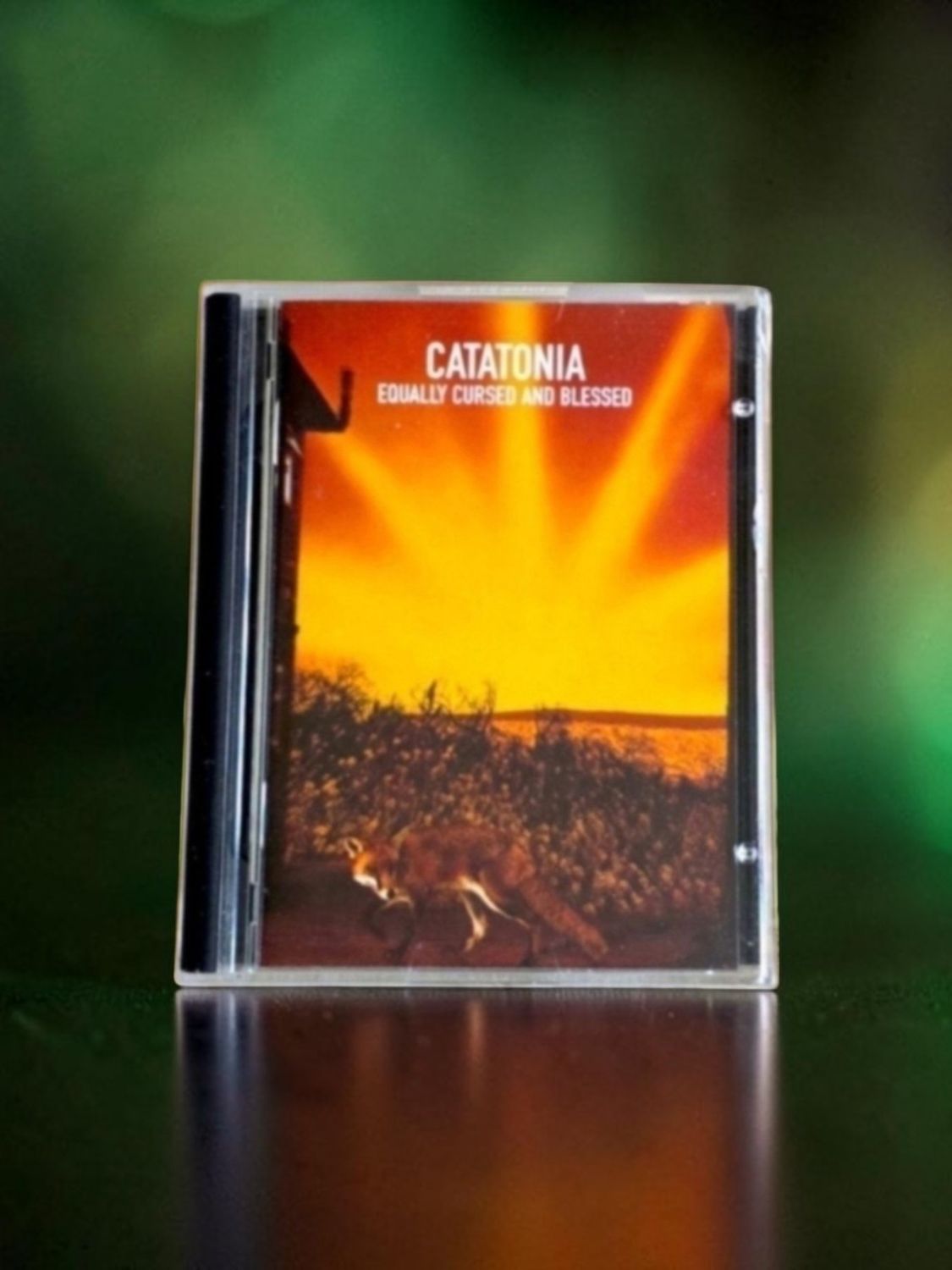 Catatonia - Equally Cursed and Blessed
