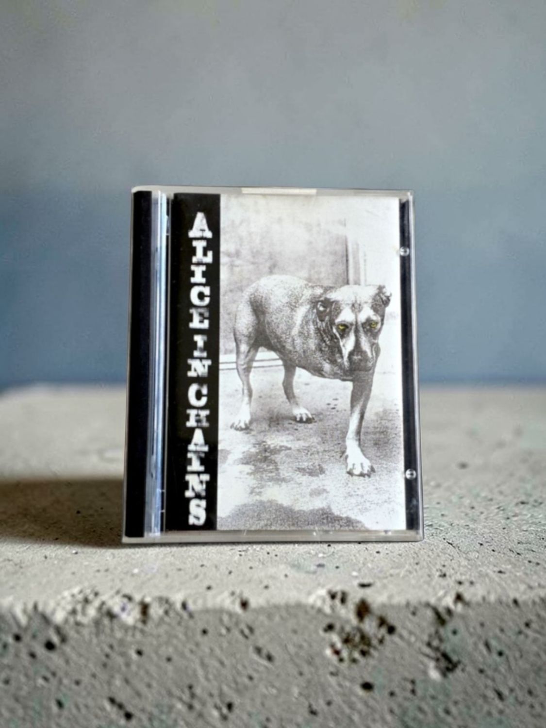 Alice in Chains - Three Legged Dog