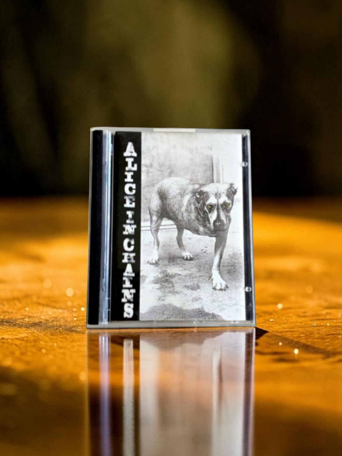 Alice in Chains - Three Legged Dog