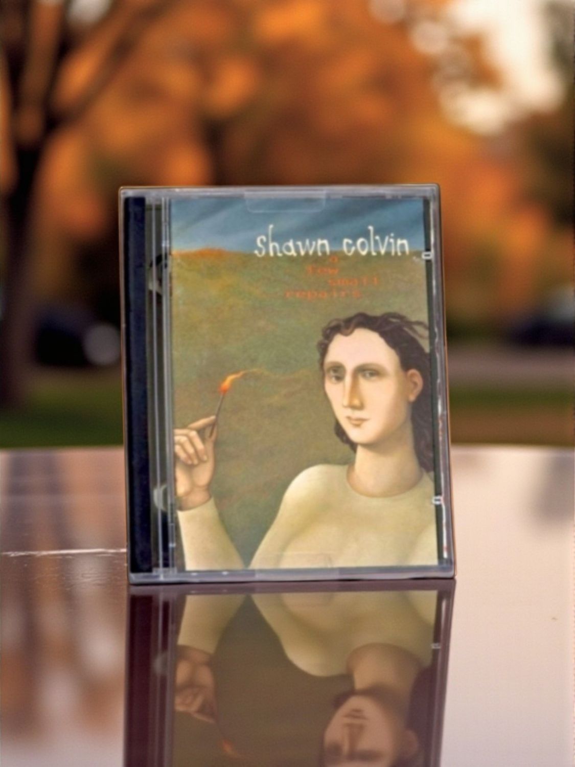 Shawn  Colvin- A Few Small Repairs