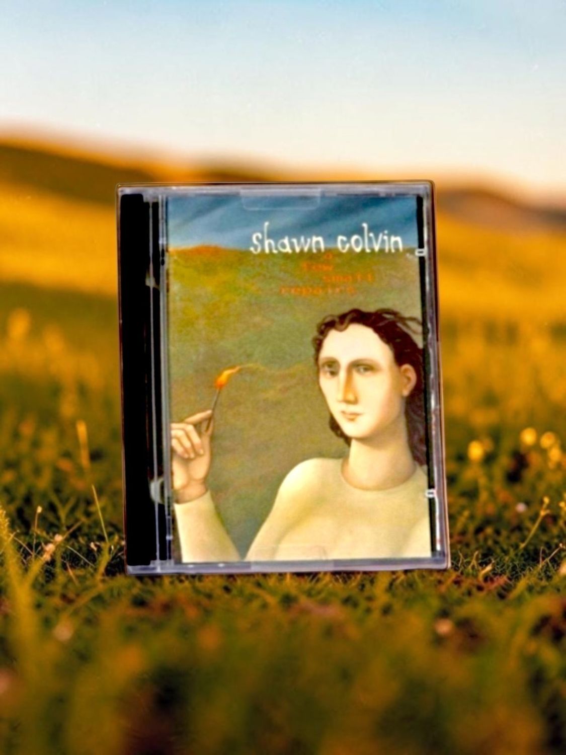 Shawn  Colvin- A Few Small Repairs